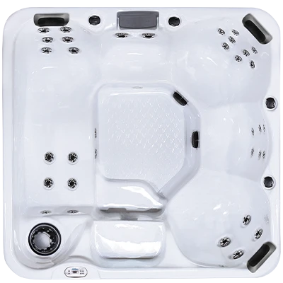 Hawaiian Plus PPZ-634L hot tubs for sale in Johnson City